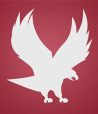 Eagle on Maroon Background