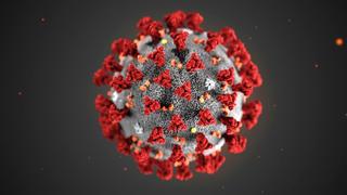 Corona virus image from CDC