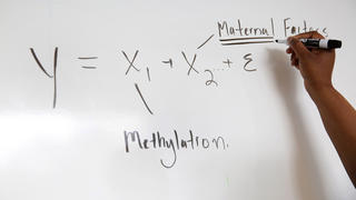 hand writing on white board algebraic formula