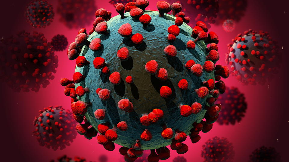 COVID-19 Virus Image