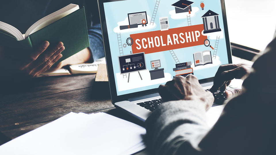 Person looking up scholarship information