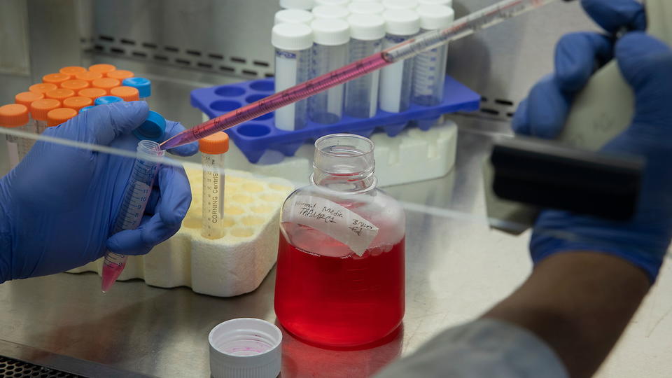Researcher using a pipette in a fume hood