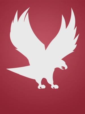 eagle on a maroon background